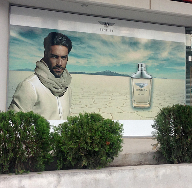 Bentley window self adhesive vinyls