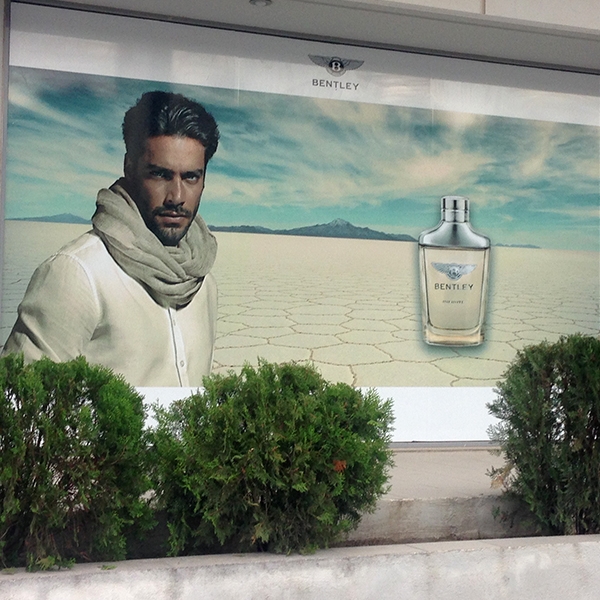 Bentley window self adhesive vinyls