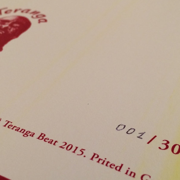 Collectable Vinyl Case 